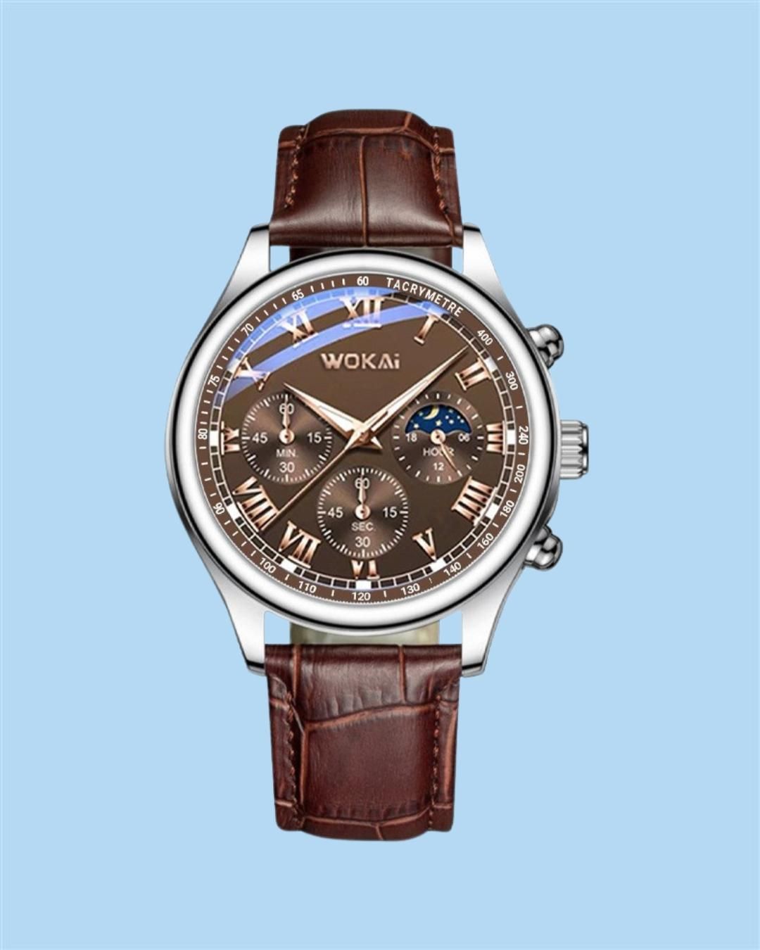 Men's Luxury watch