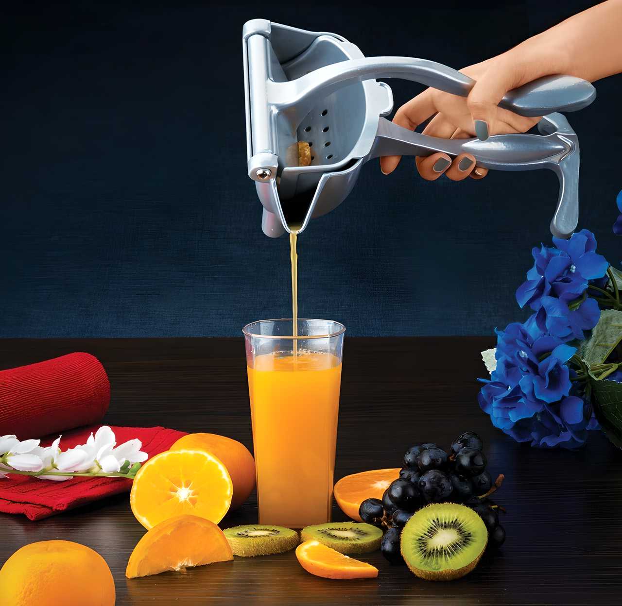 Fruit Press Squeezer/Juicer